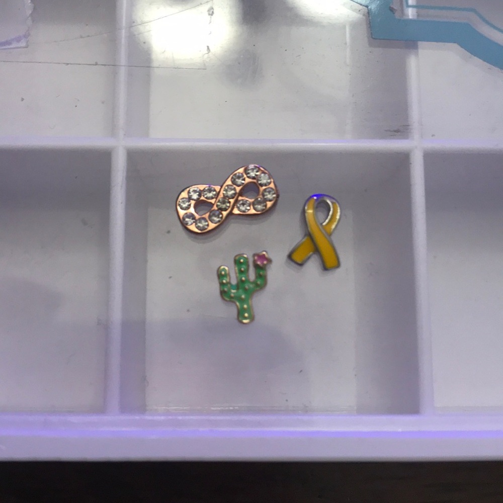 Origami owl charms for isilee_isabella